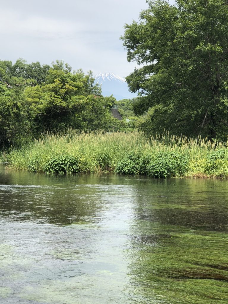 柿田川かわみえる富士山