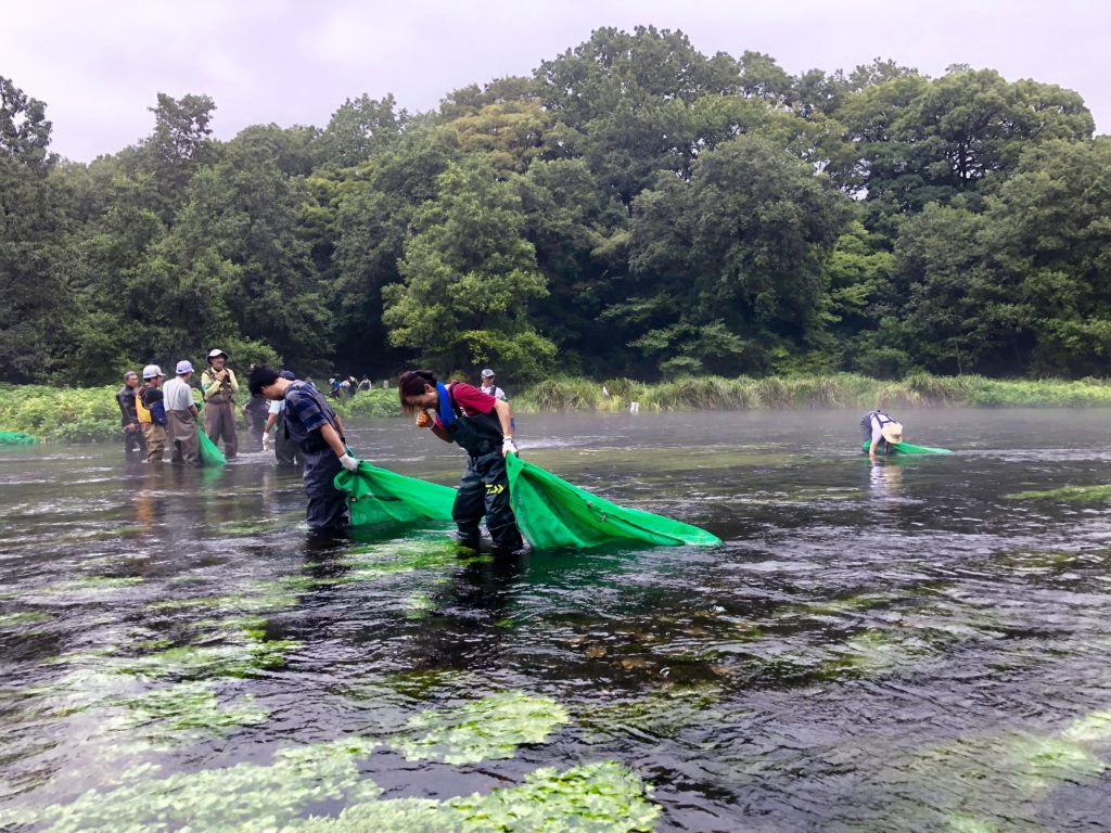 柿田川ボランティア