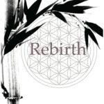 個展 - Rebirth -